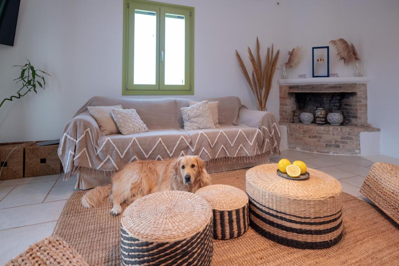 Ventu Paros Villa Márpissa Exteriér fotografie
