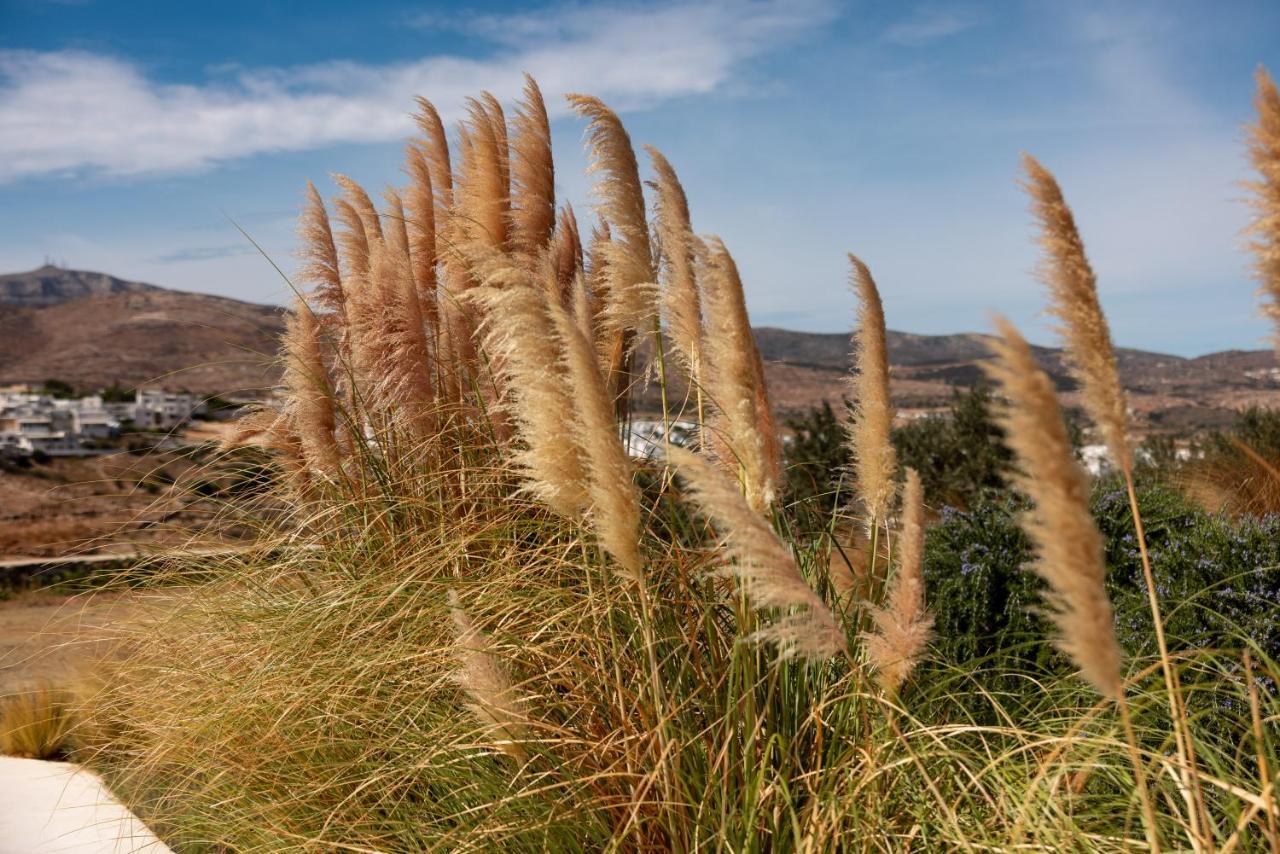 Ventu Paros Villa Márpissa Exteriér fotografie